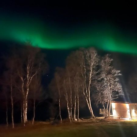 Cottage With Good Standard Next To Neiden River Exterior photo