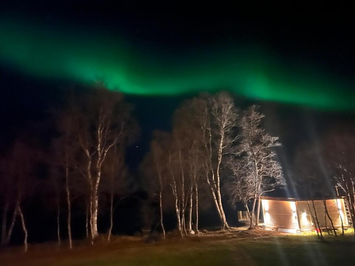Cottage With Good Standard Next To Neiden River Exterior photo